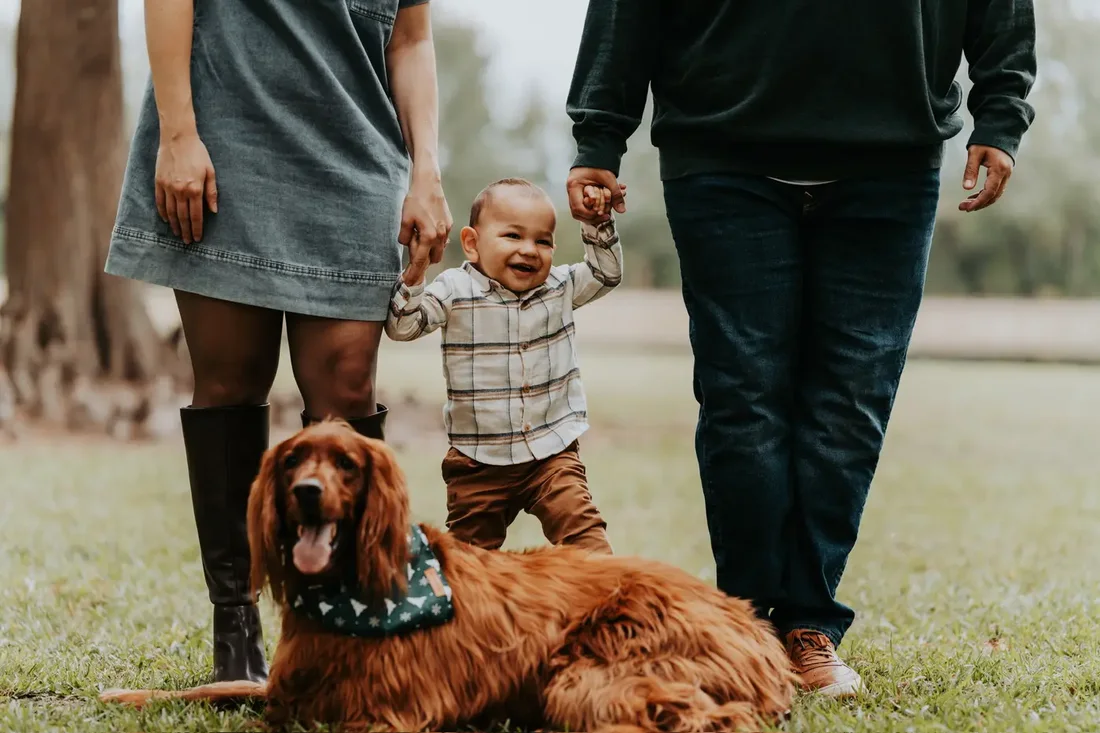 Family with their dog, toddler walking between parents